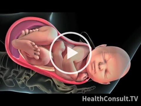 Patient Education Animation Labor and Vaginal Birth